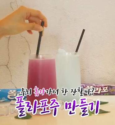 폴라포주와 함께하는 여름휴가